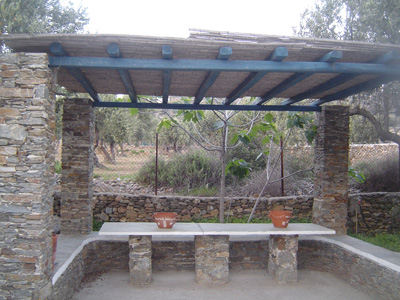 photo2